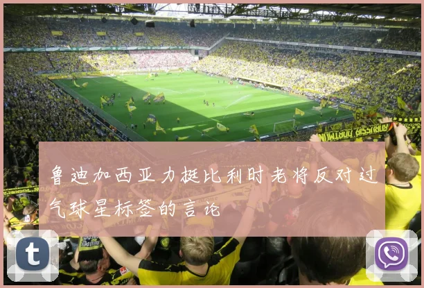 鲁迪加西亚力挺比利时老将反对过气球星标签的言论
